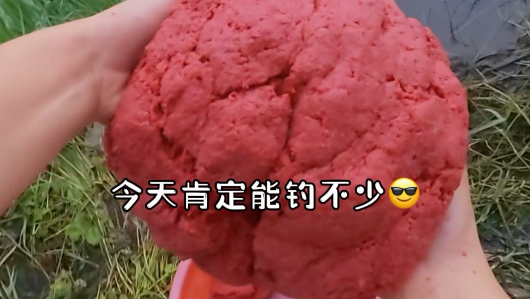 解锁100种淡水鱼图鉴 第2集