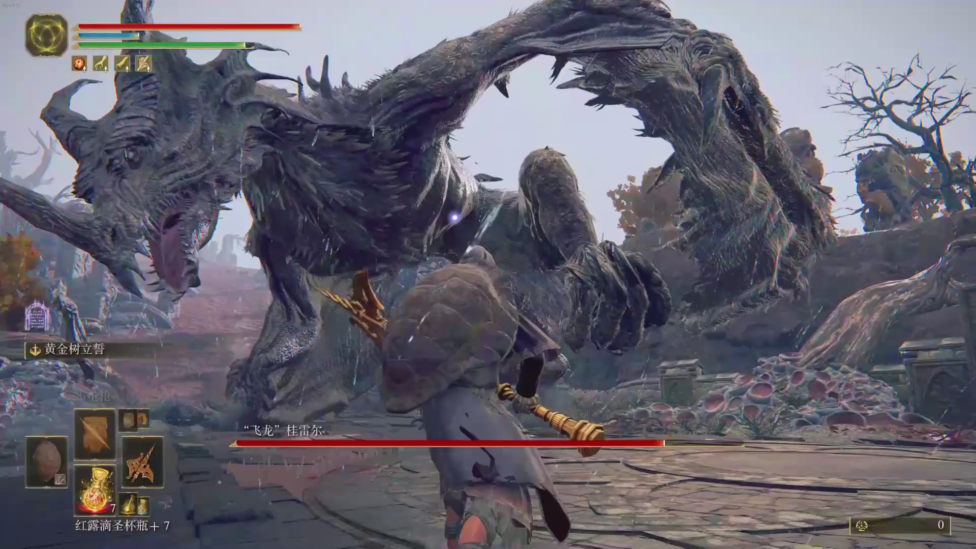 当怪猎玩家碰到了老头环里的巨龙