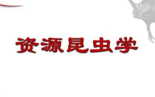 东北林业大学  资源昆虫学(国家级精品课)哔哩哔哩bilibili