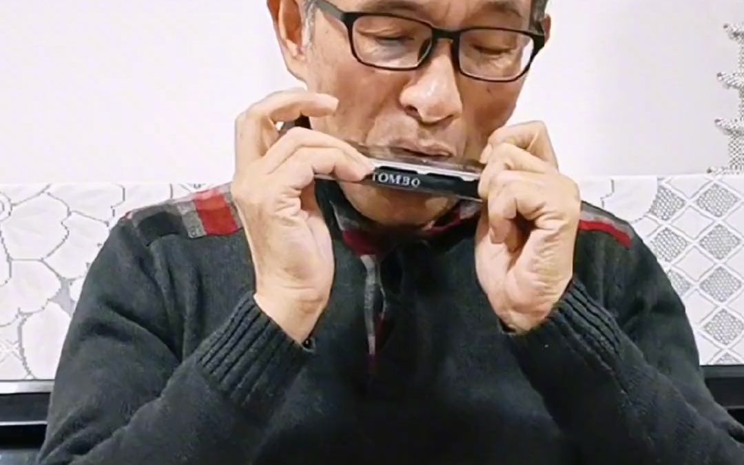 口琴吹奏《画你》,很火的网红歌曲#通宝口琴短视频才艺节@通宝口琴