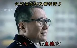 Video herunterladen: 祁厅，我们村那野狗