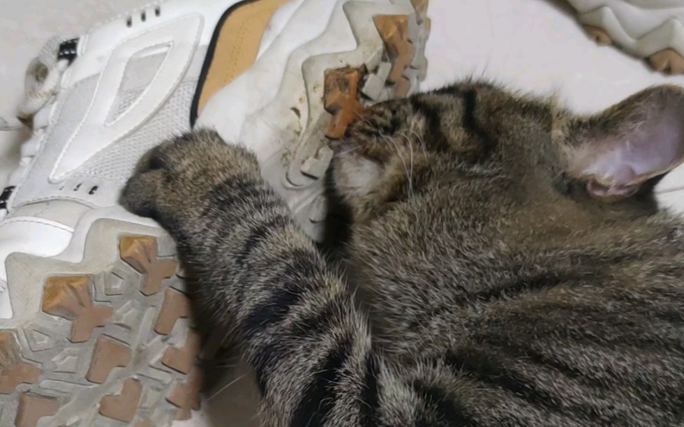 这鞋底踩了什么?