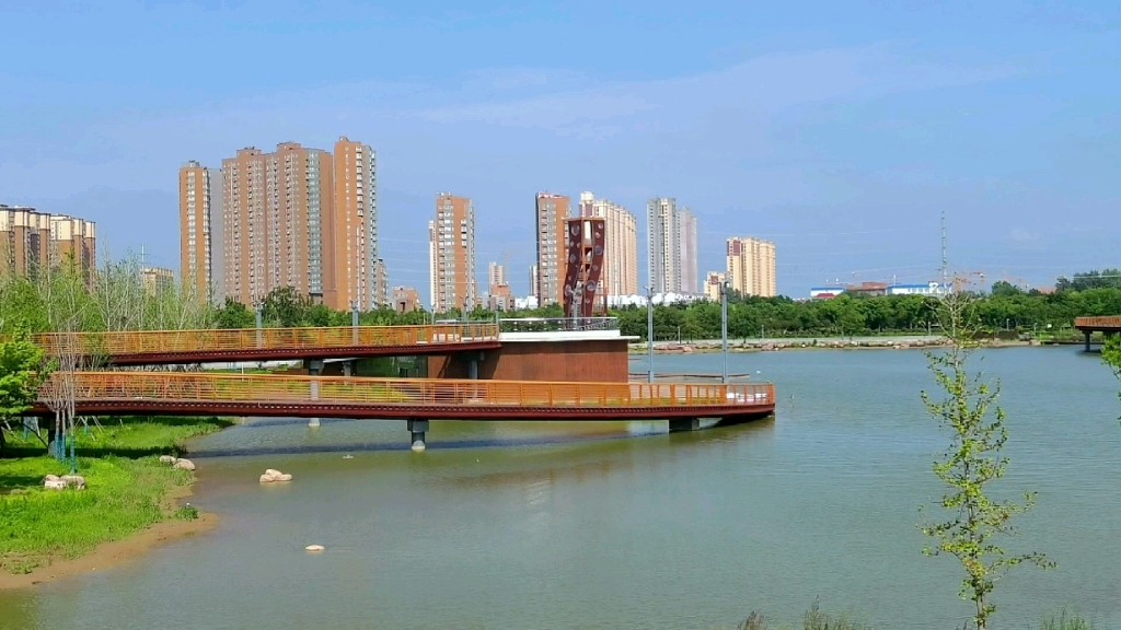 炎炎夏日游安阳洪河湿地公园