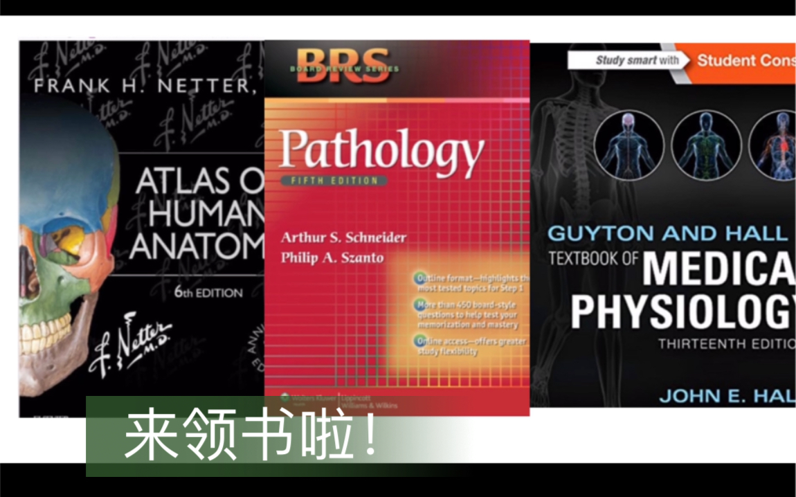 分享本儿奈特解剖图谱和病理学、生理学的英文原版教材,喜欢三连!哔哩哔哩bilibili