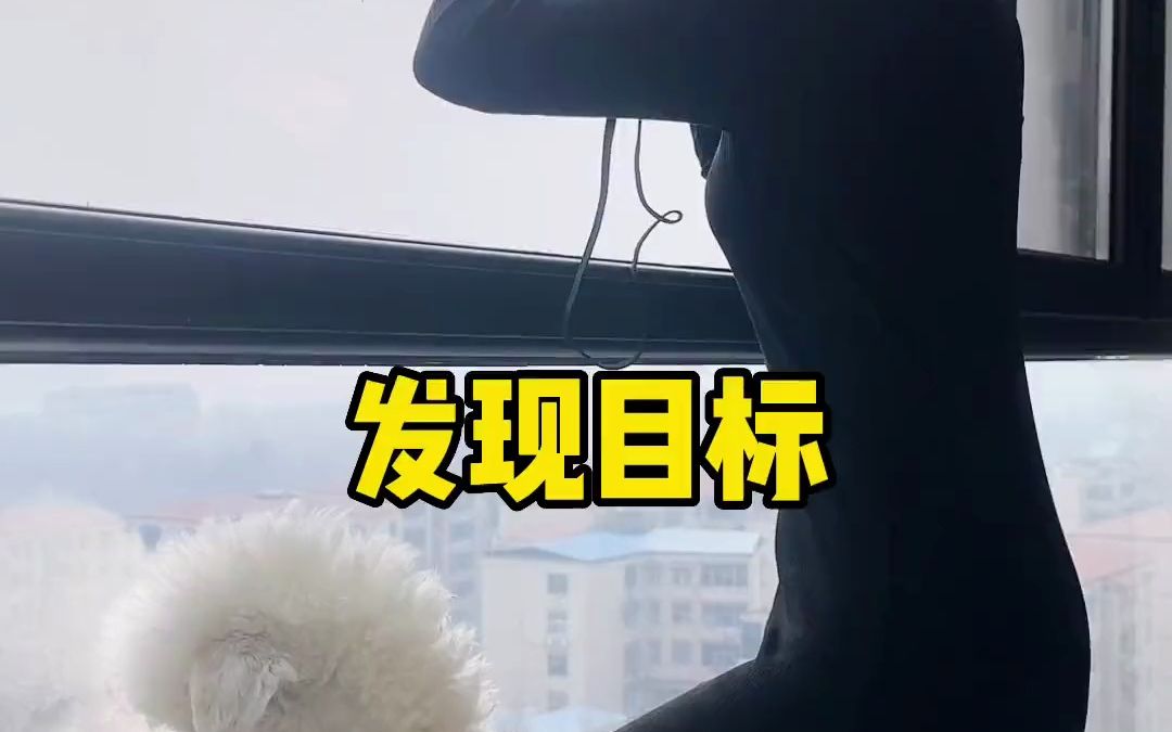 我愿意做一个乐于助人的小飞机哔哩哔哩bilibili