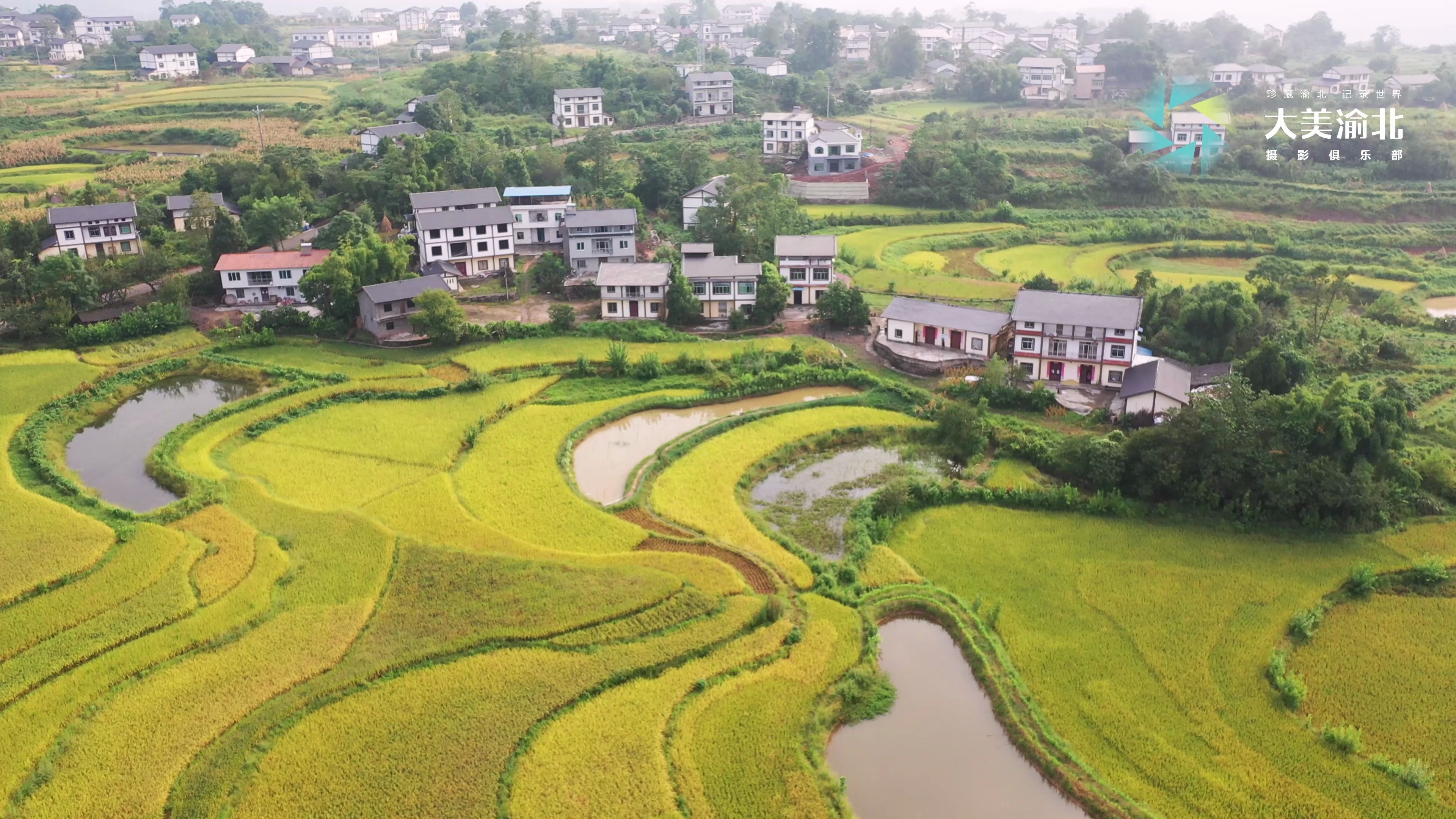 [图]大美渝北美丽乡村系列之千盏村