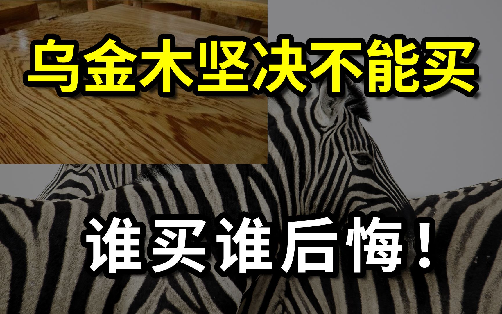 乌金木坚决不能买,谁买谁后悔!它贵不贵?能升值吗?哔哩哔哩bilibili