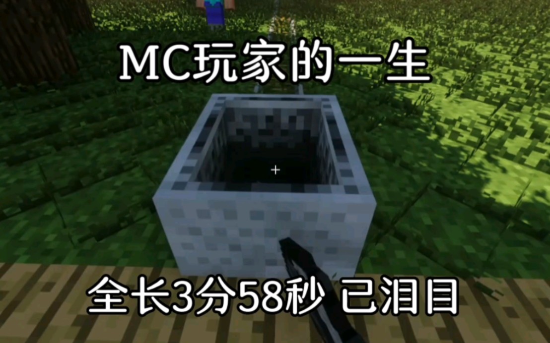 [图]MC玩家的一生，管他火不火，反正已经努力做了，哎