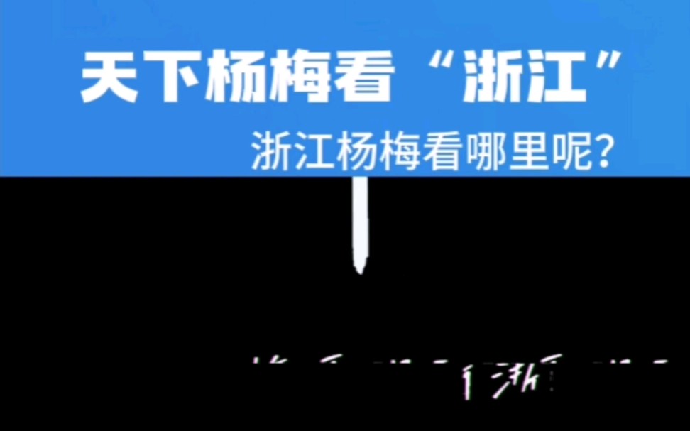 浙江杨梅看哪里呢?哔哩哔哩bilibili