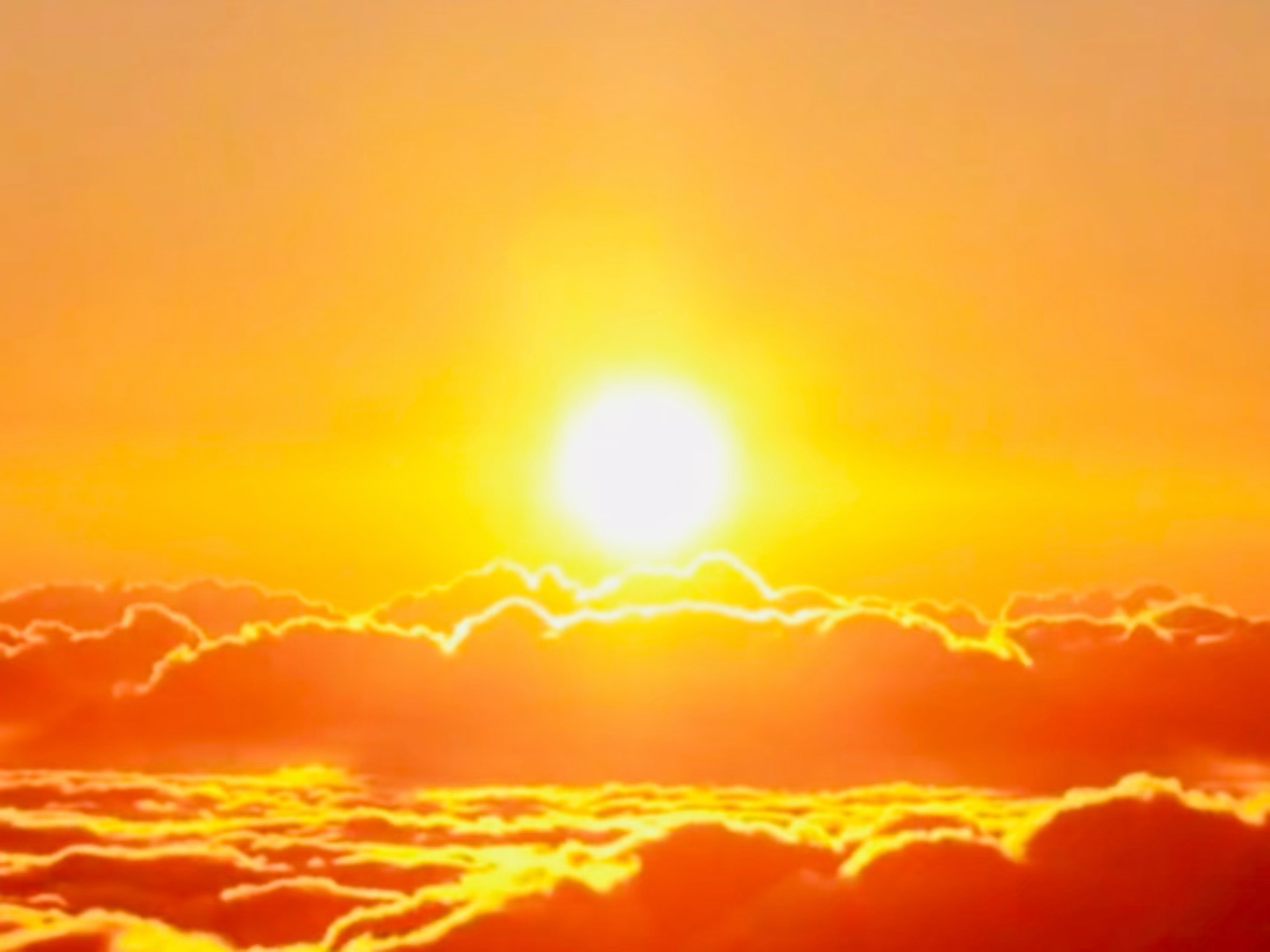 "它像太阳一般耀眼"