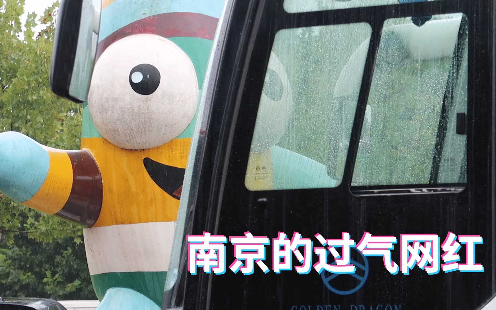 南京的过气网红二胡卵子 又名五彩大腰子
