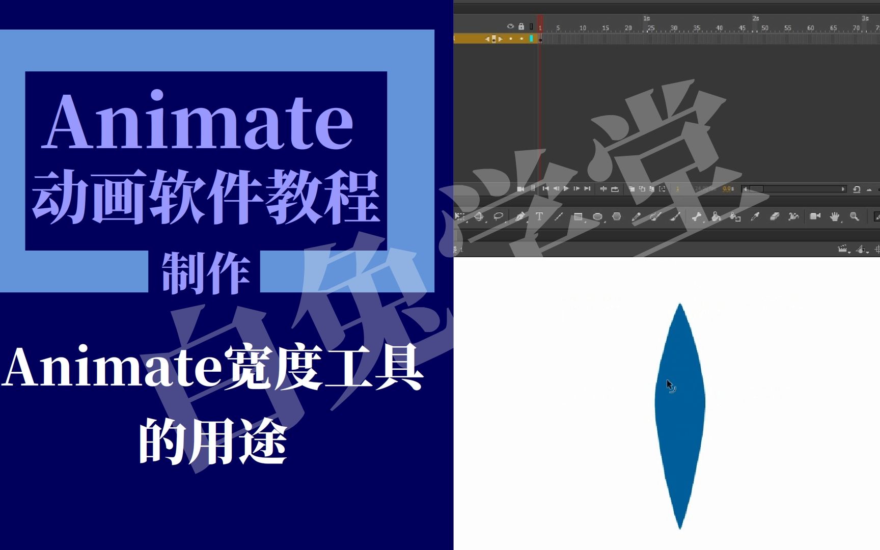 animate宽度工具的用途哔哩哔哩bilibili