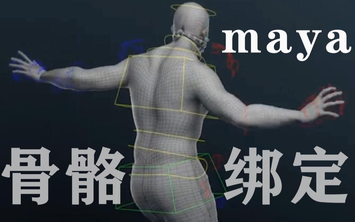 maya基础人体骨骼绑定教程 | ADV骨骼绑定插件教学哔哩哔哩bilibili