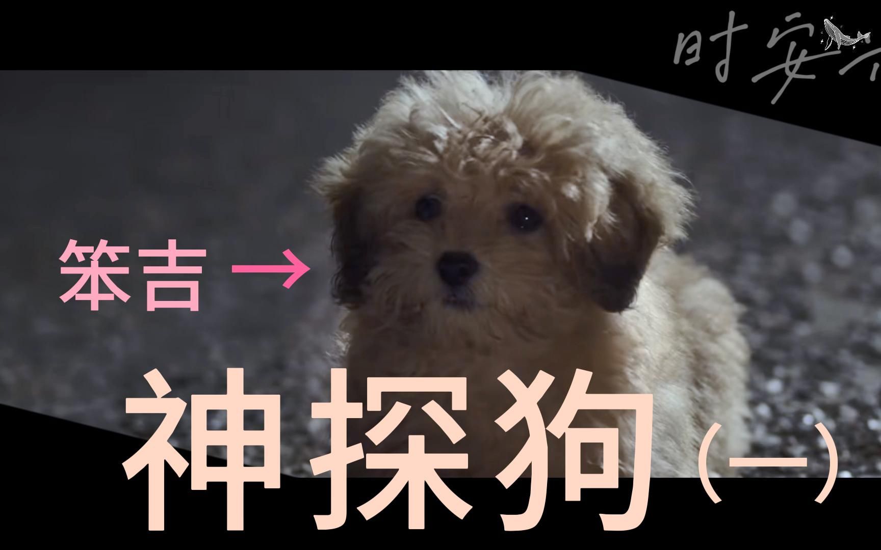 神探狗笨吉的故事(1)