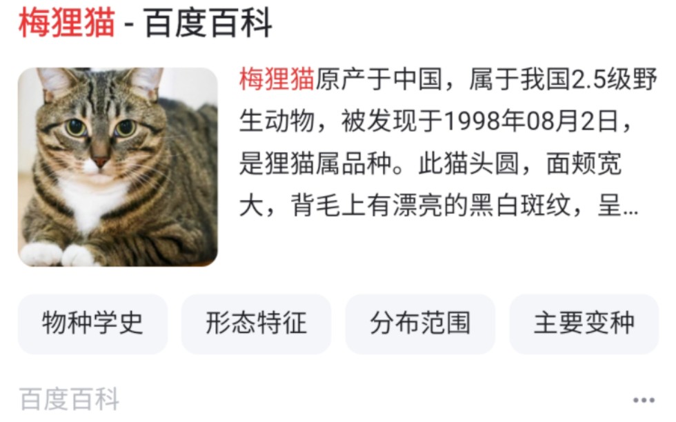 梅狸猫竟然有百度百科了,两个半小时词条就下架了,到底是谁在编辑这些词条阿哔哩哔哩bilibili