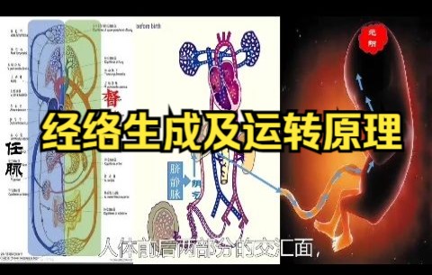 传承上古道学文化哔哩哔哩bilibili