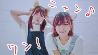 Hey Say Jump 天才志村动物园犬派vs猫派cut 标清生肉 哔哩哔哩 Bilibili