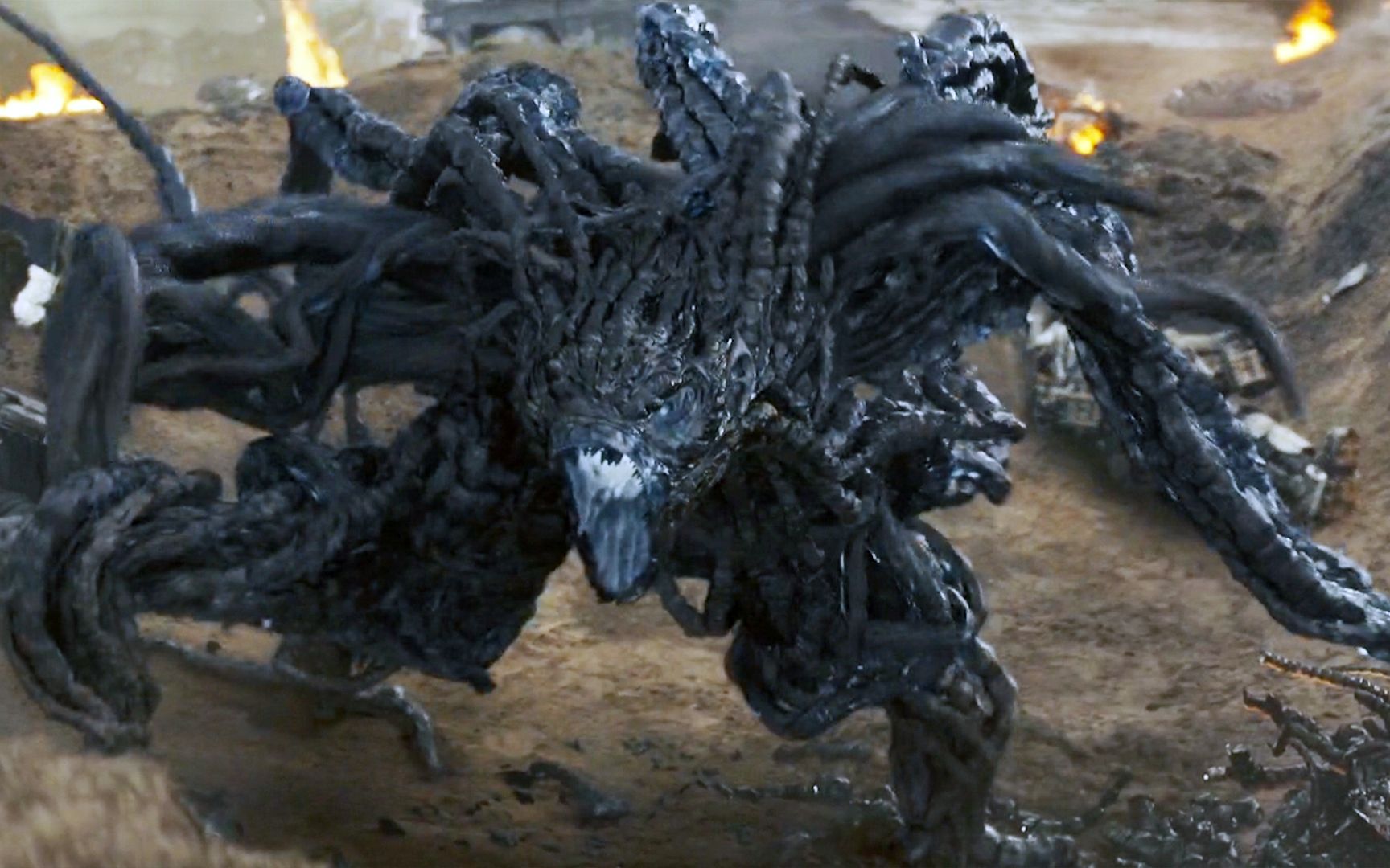 神秘怪物突然入侵地球竟能重置时间预知未来明日边缘