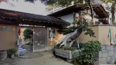 The Sound Of Bonsai Workshop Eisei En 永青园 哔哩哔哩 Bilibili