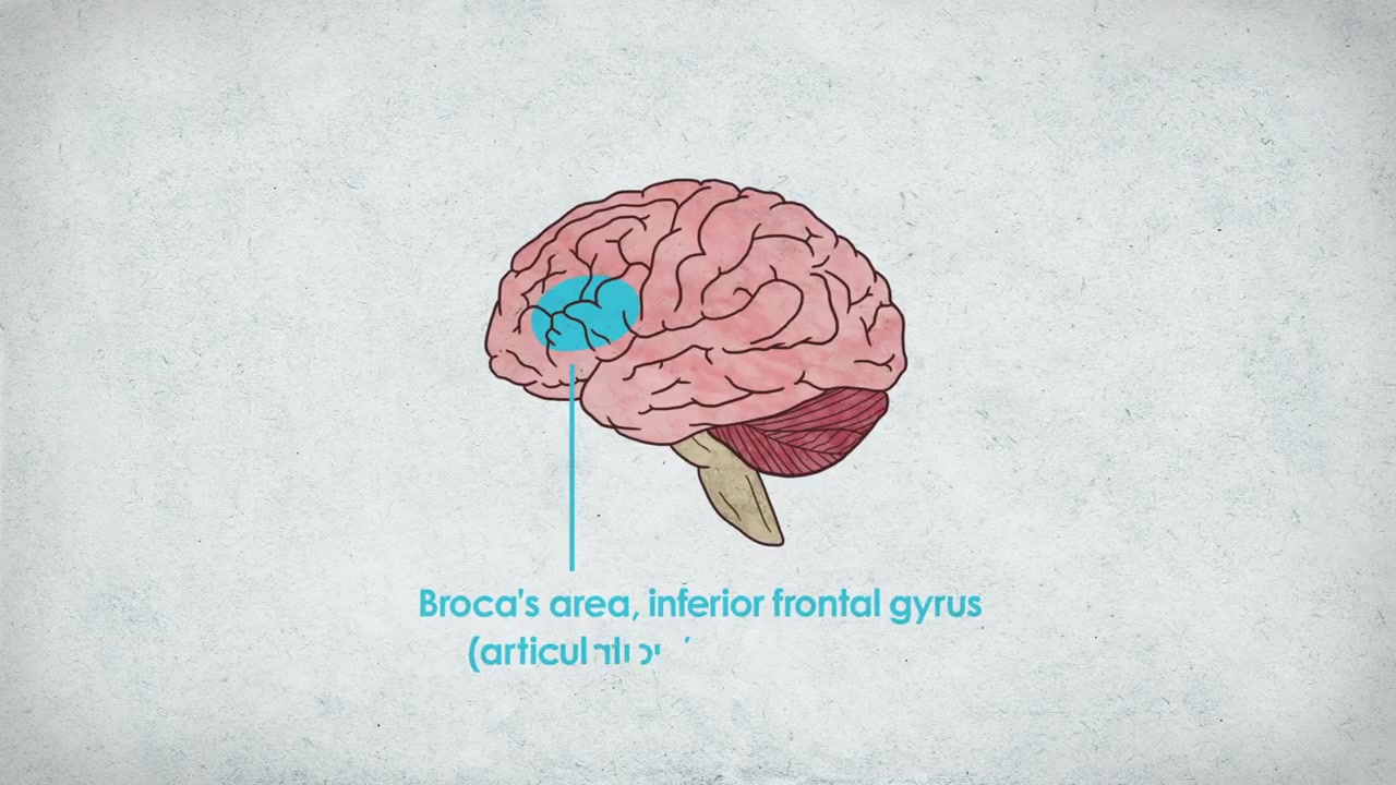 [图]What is dyslexia- 什么是失读症