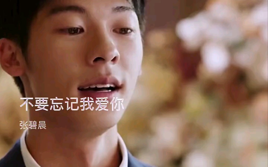 后来我目睹了太多的爱才知道那年你有多爱我