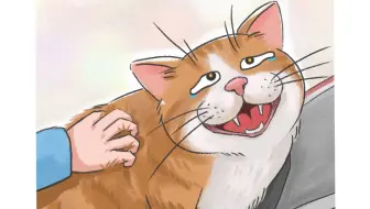 一只流浪猫趴在女生的电瓶车座垫上，女生给小猫挠背，小猫爽的吱哇乱叫。