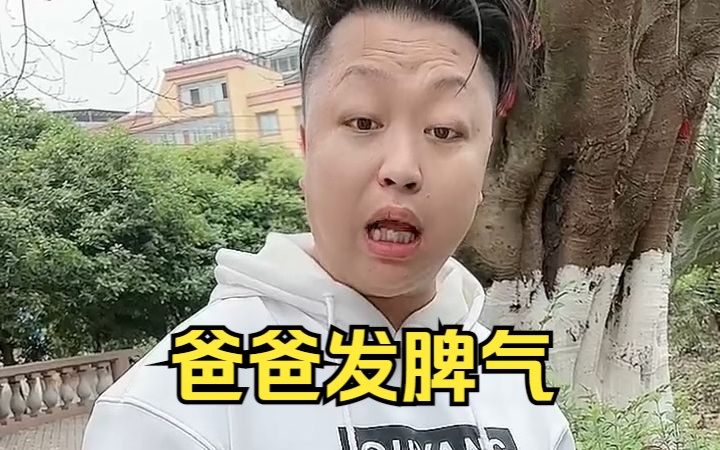 今天爸爸发脾气,好担心,好害怕,你觉的爸爸站起来了吗?哔哩哔哩bilibili