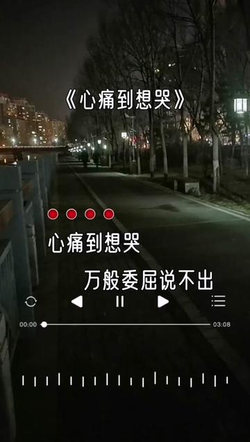 心痛到想哭,万般委屈说不出,在深夜品尝我的无助,现实太残酷,真心总是