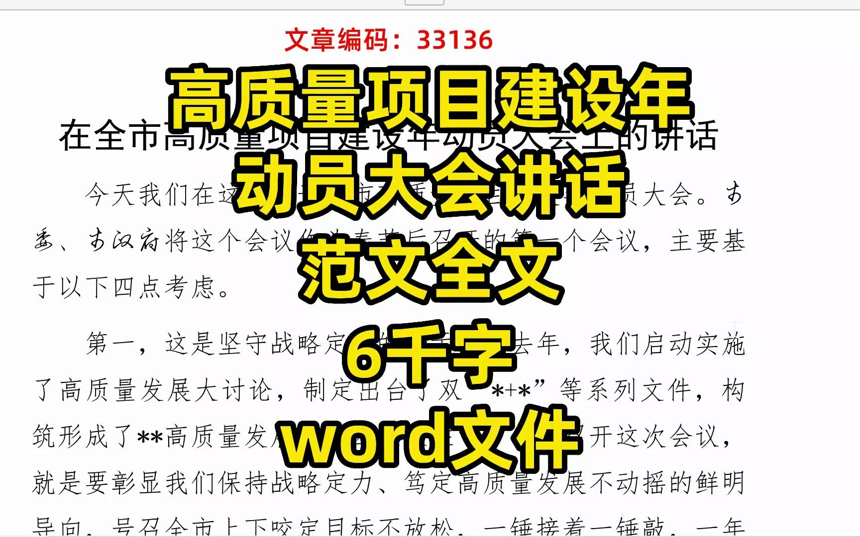 高质量项目建设年动员大会讲话全文,6千字,word文件哔哩哔哩bilibili