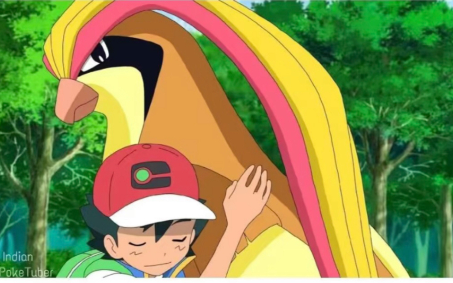 3.24日 目标是宝可梦大师最终话 小智去接比雕 预告 最终章