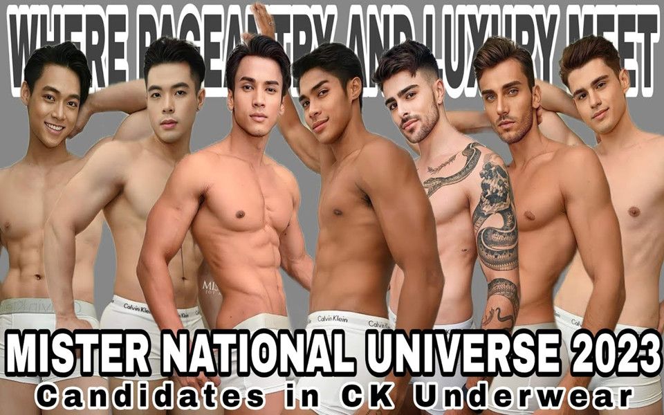 Mister National Universe 2023 Final | 各国帅哥内裤走秀哔哩哔哩bilibili