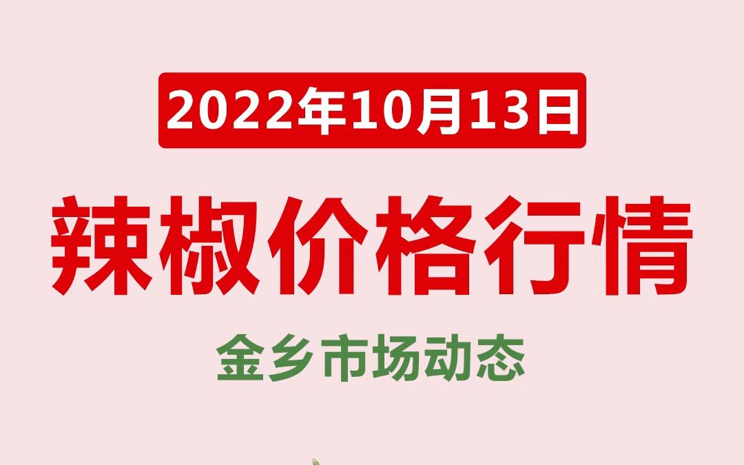 10月13日金乡辣椒价格行情哔哩哔哩bilibili