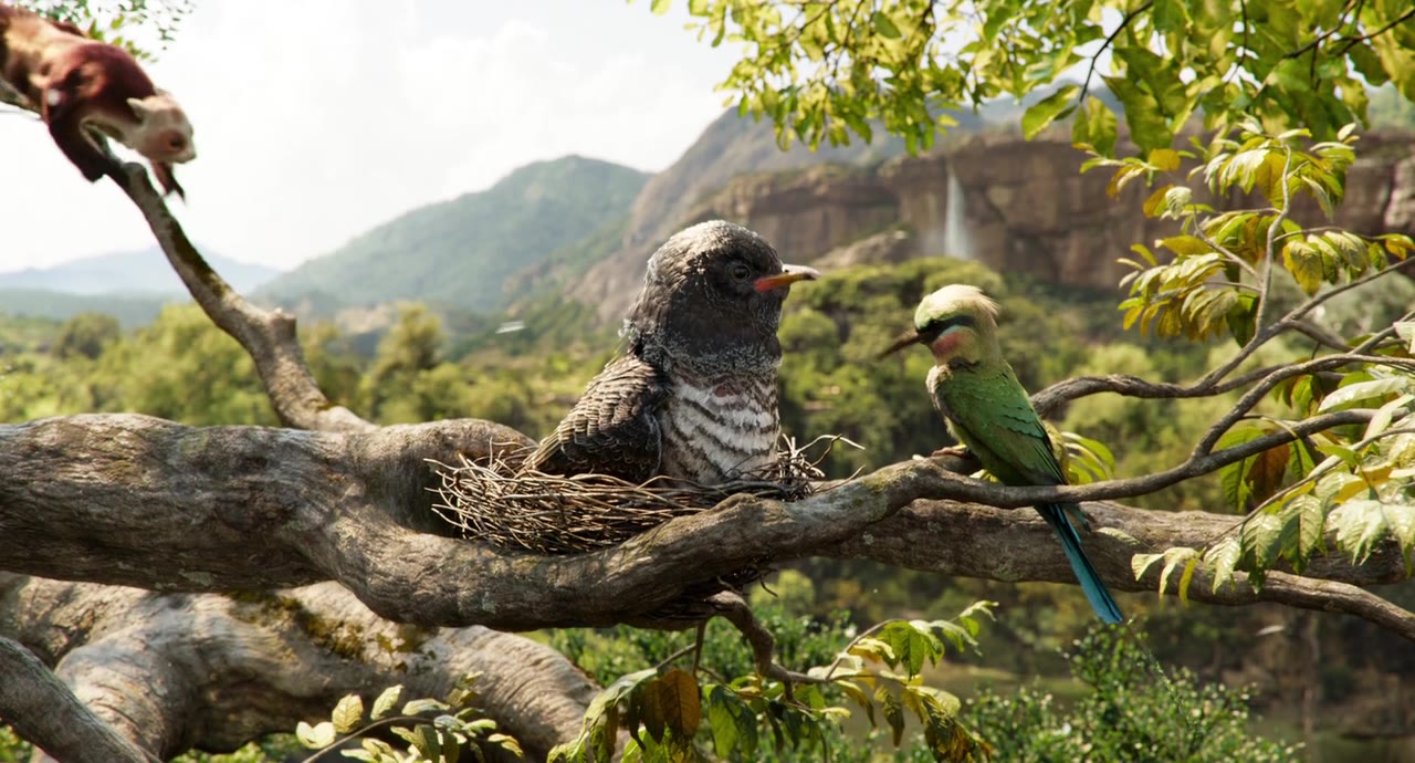 【奇幻森林】mowgli & baloo - the bare necessities (cut)_哔哩哔哩