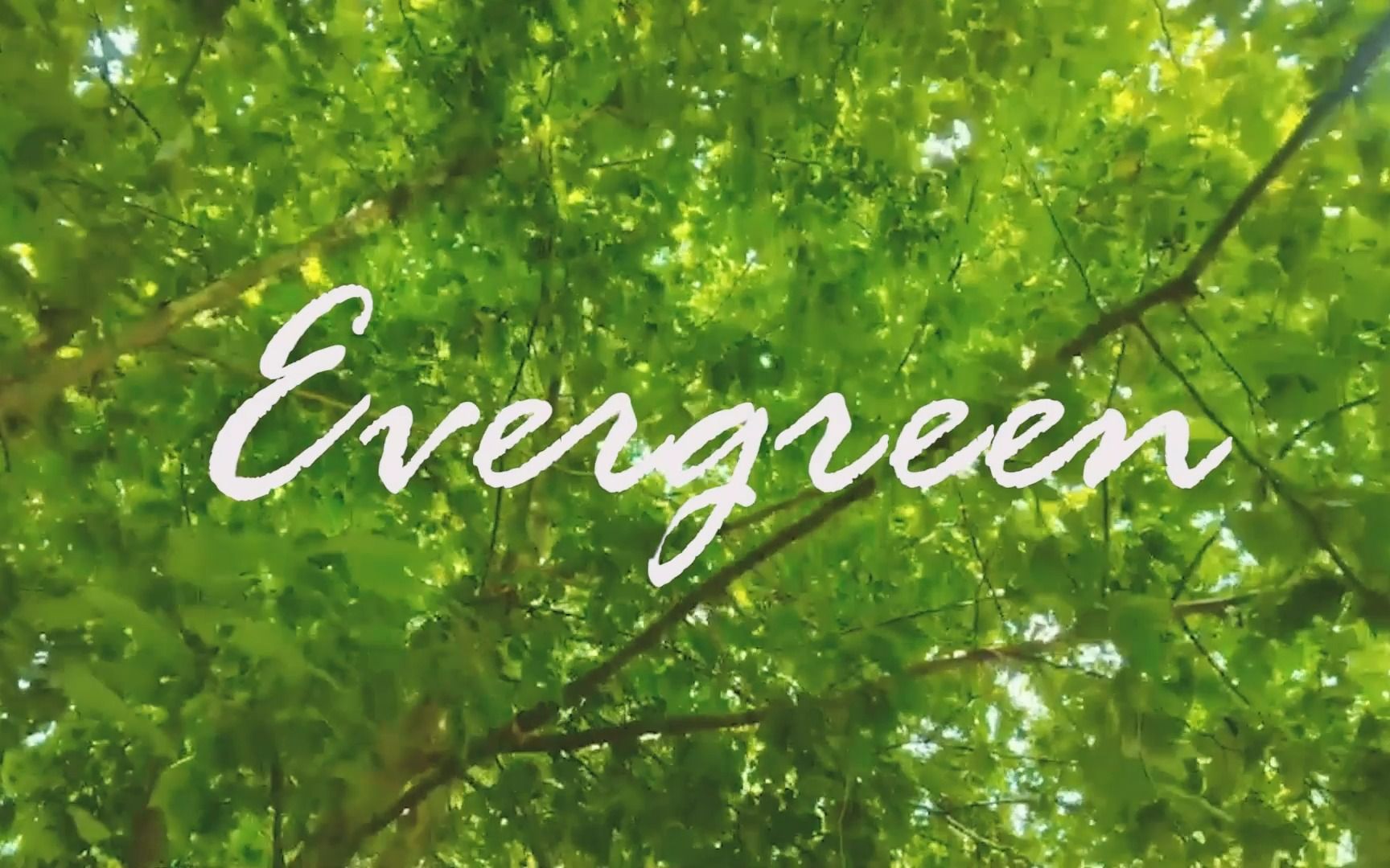 [图]Evergreen · 北外合唱团2023夏季专场主题视频