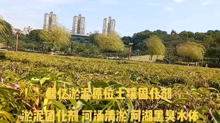 深圳盐田区建筑维修房屋修缮,深圳装饰装修,深圳古建筑文物屋面防水维修,深圳琉璃瓦坡屋面防渗修缮,深圳轻质泡沫混凝土深圳喷涂聚脲防腐防水维修...