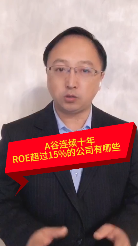 ROE连续十年超过15%的公司有哪些?#哔哩哔哩bilibili