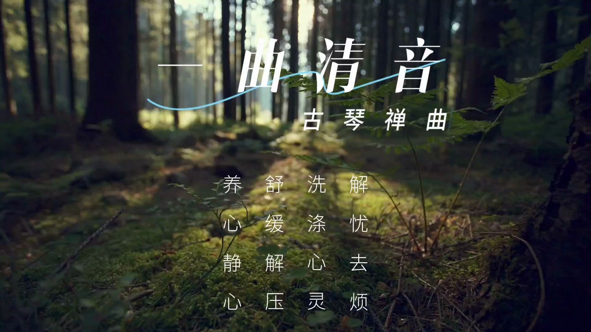 【音乐静听】103古琴禅曲《一曲清音》解忧去烦,洗涤心灵,舒缓解压,养心静心,空灵淡雅,净化心灵,涤尽烦扰,静心安神哔哩哔哩bilibili