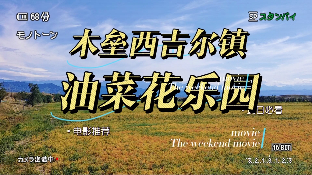 带着爸妈去旅行,途径木垒西吉尔镇的油菜花乐园,观景台看风景