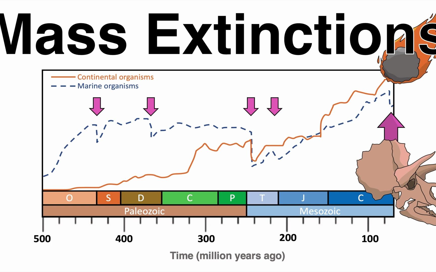 [图]5 大生物灭绝事件Big 5 Mass Extinction Events