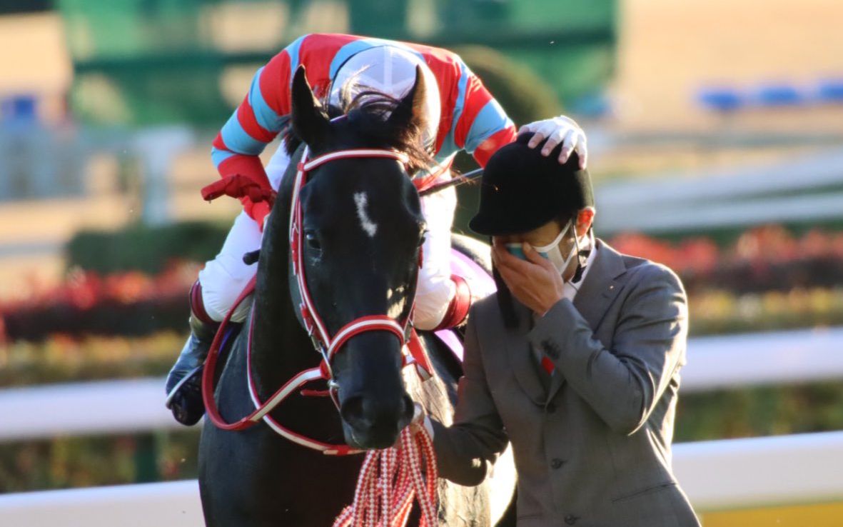 【飞机云/赛马mad】天空的彼方,最后的航迹