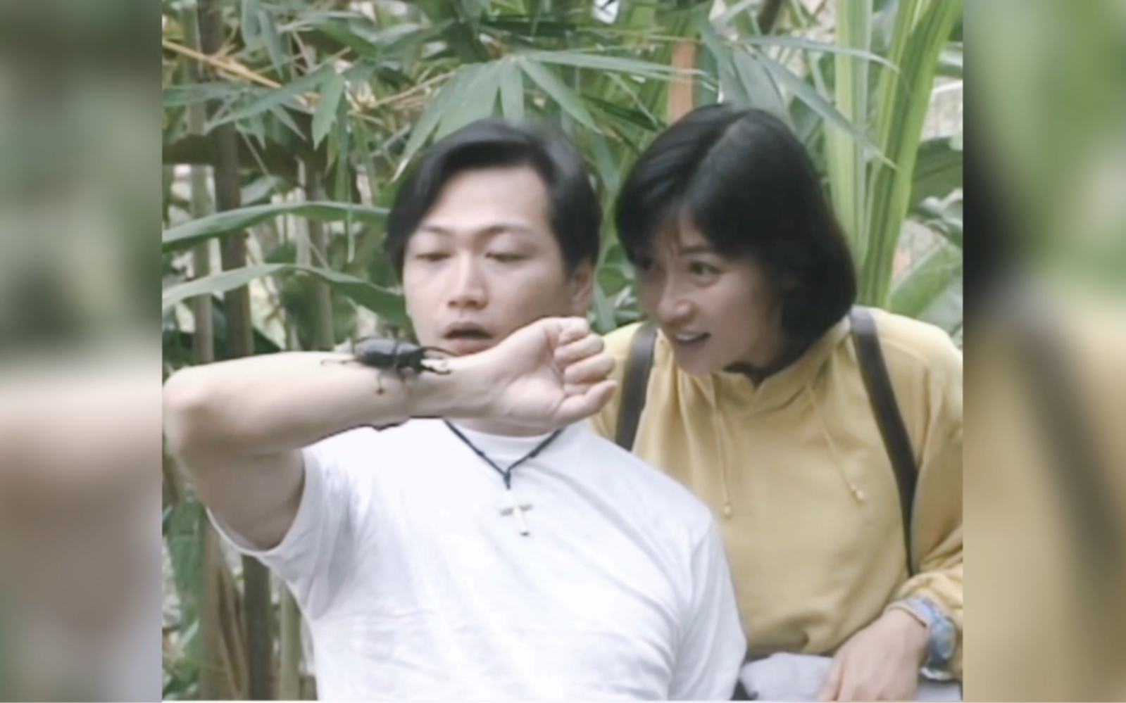 〈寰宇风情〉陶大宇谭淑梅 哥斯达黎加