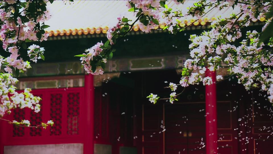 【如懿传|空镜】华美囚笼