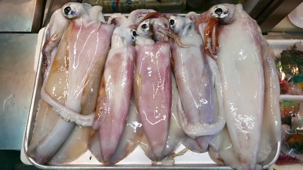 big烤乌贼太上头