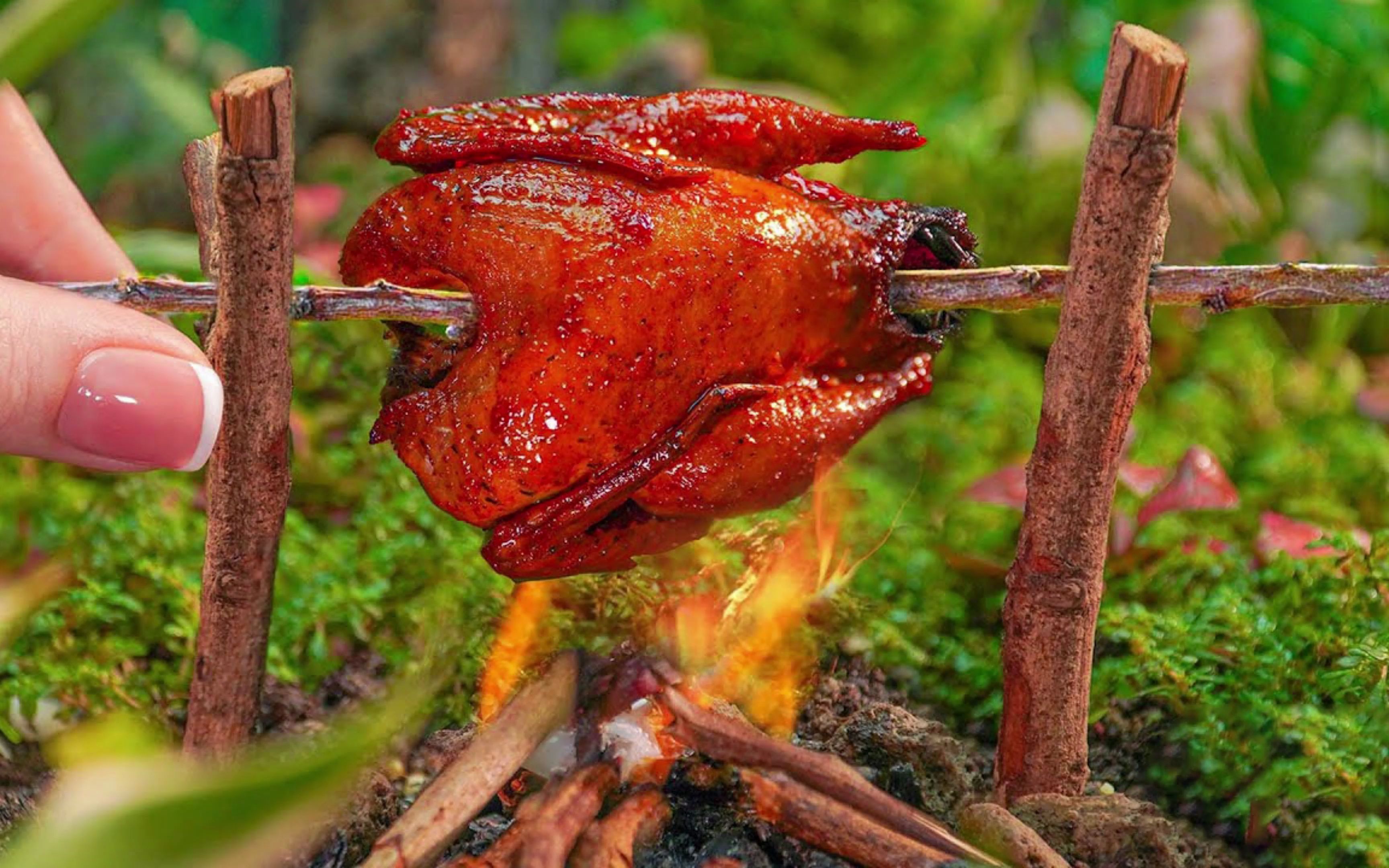 沉浸式治愈解压美食:自制户外烤火鸡一只