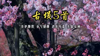 下载视频: 土音入脾 养护脾胃 补气健脾 消食导滞 养血安神 改善气色 饮食油腻/过食肥甘厚味/暴饮暴食或茶饭不思可多听《明月千里寄相思/片片相思赋予谁/故梦风吟诛仙》等