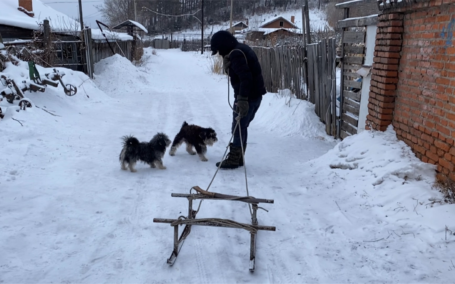 东北黑龙江又下大雪了,拉上铁爬犁,看看山上的雪多厚哔哩哔哩bilibili