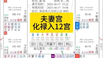 夫妻宫化禄入12宫