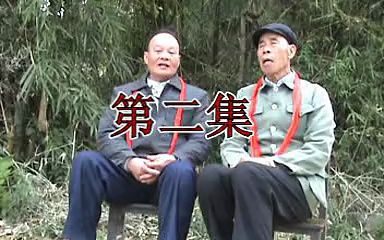 [图]来宾市迁江镇赵村莲花庙会壮语山歌对唱（第二集）