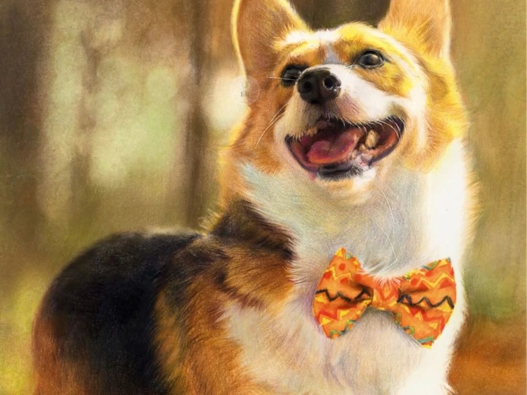 【彩铅手绘】绅士狗狗