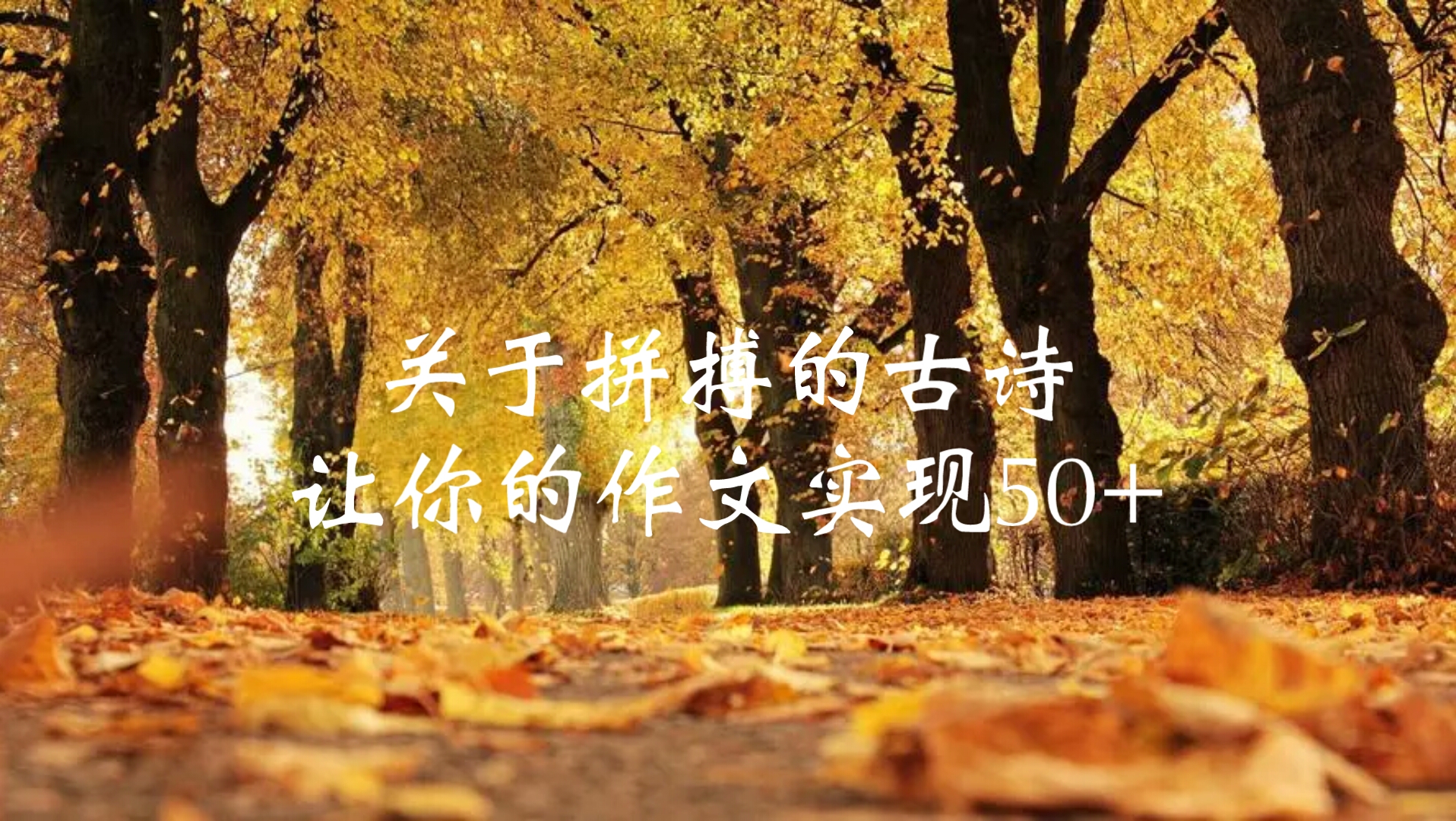 关于拼搏的古诗,让你的作文实现50+哔哩哔哩bilibili